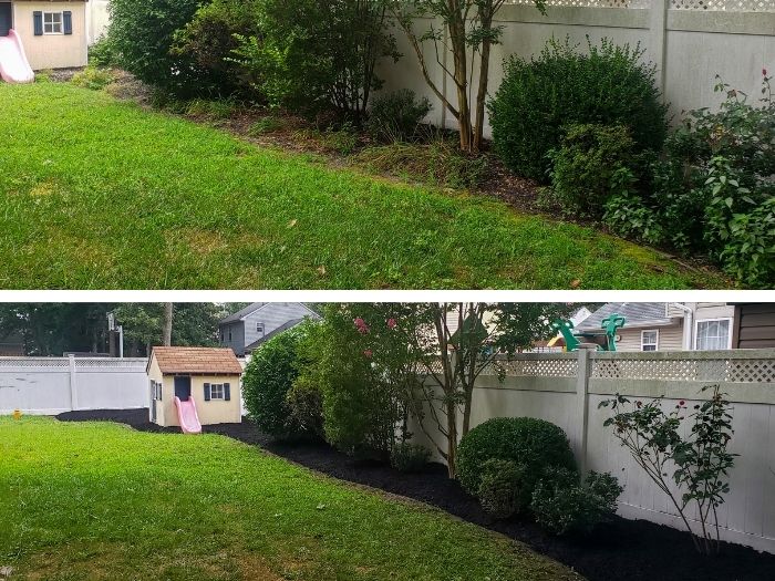 Before and After Landscape Cleanup