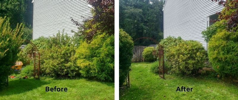 Lawn and Landscape Cleanup and Renovation Services