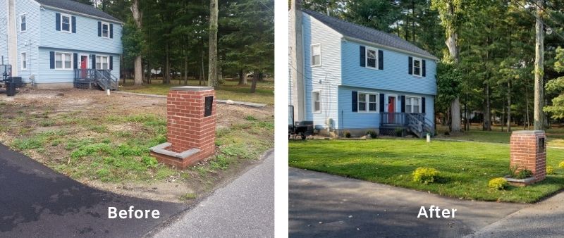 Lawn Renovation Before After