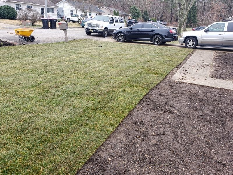 Sod Installation Transforms The Appearance Of Your Lawn In 1-Day