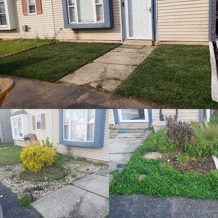 Sod Landscaping Before and After