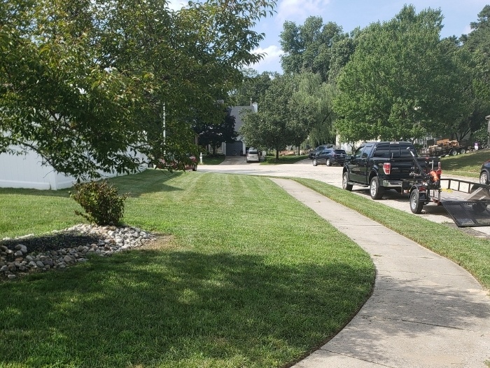 Washington Township Organic Lawn Care