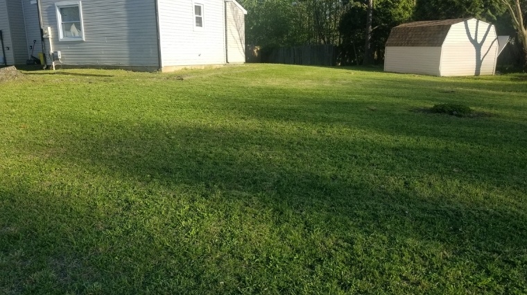 A lawn after being mowed by JT Landscape and Organic Lawn Care. The grass has been uniformly cut and all clippings have been cleaned up.